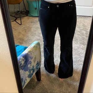 Michael Kors Velvet Flares
